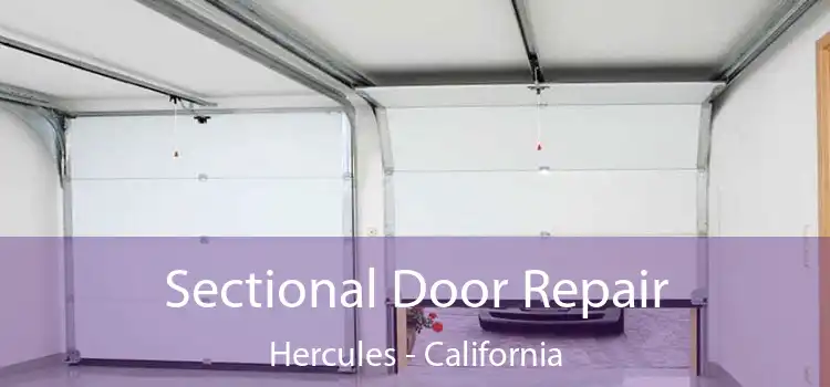 Sectional Door Repair Hercules - California