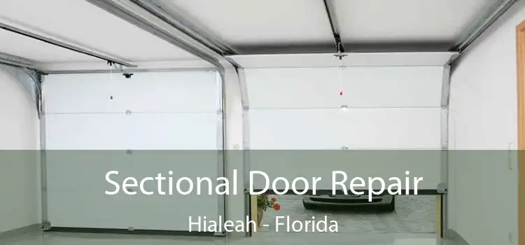 Sectional Door Repair Hialeah - Florida