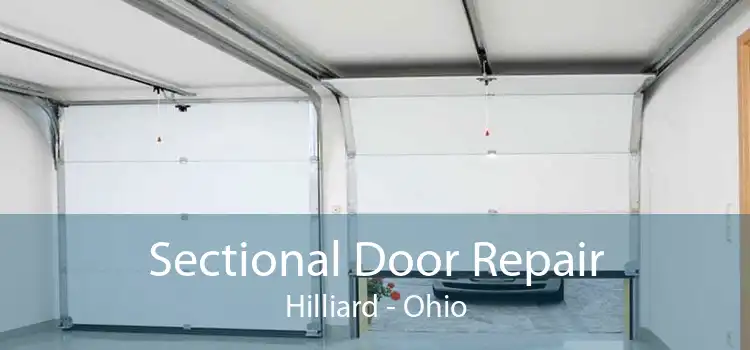 Sectional Door Repair Hilliard - Ohio