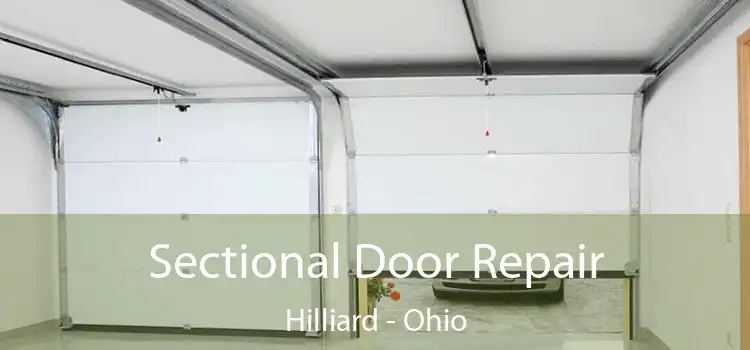 Sectional Door Repair Hilliard - Ohio