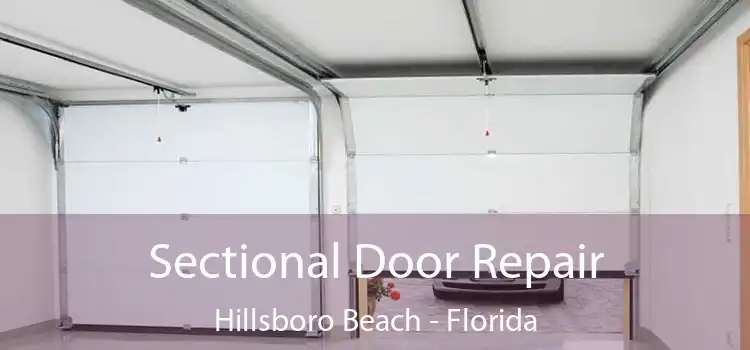 Sectional Door Repair Hillsboro Beach - Florida