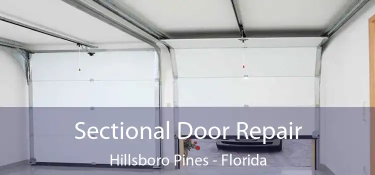 Sectional Door Repair Hillsboro Pines - Florida