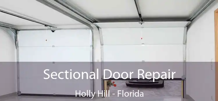 Sectional Door Repair Holly Hill - Florida