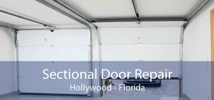 Sectional Door Repair Hollywood - Florida