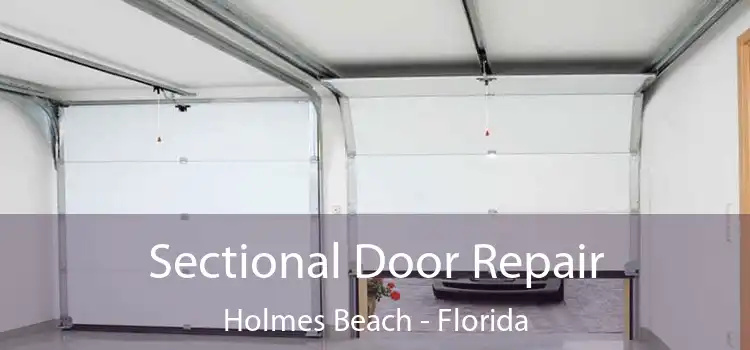 Sectional Door Repair Holmes Beach - Florida