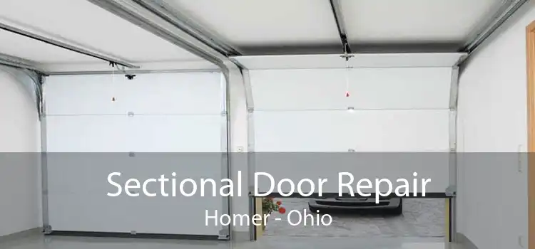 Sectional Door Repair Homer - Ohio