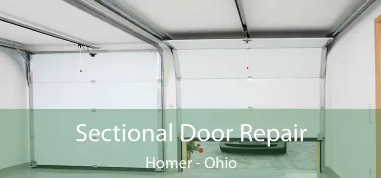 Sectional Door Repair Homer - Ohio