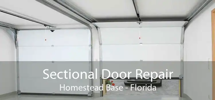 Sectional Door Repair Homestead Base - Florida
