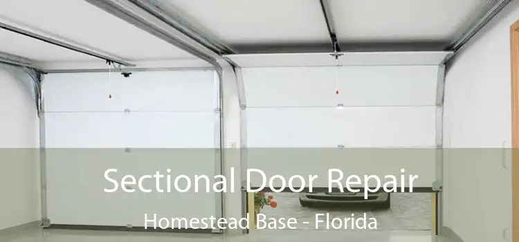 Sectional Door Repair Homestead Base - Florida