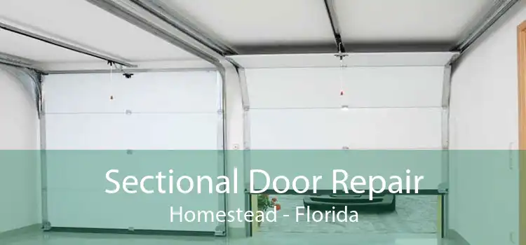 Sectional Door Repair Homestead - Florida