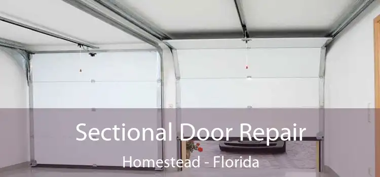 Sectional Door Repair Homestead - Florida