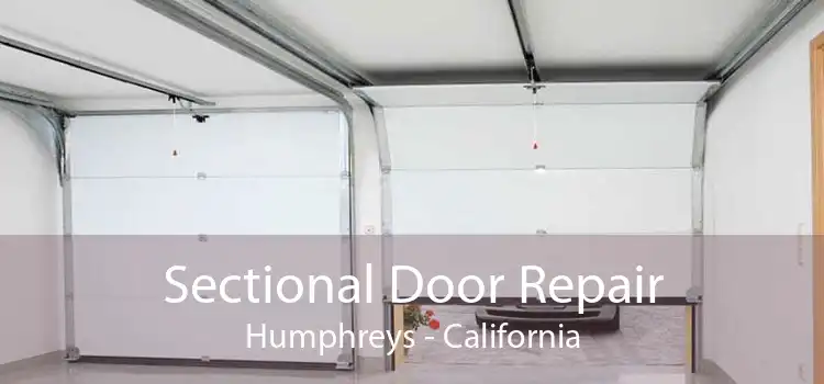Sectional Door Repair Humphreys - California