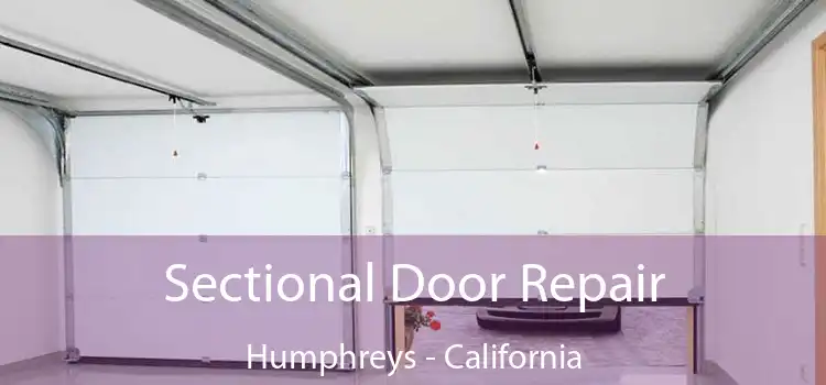 Sectional Door Repair Humphreys - California