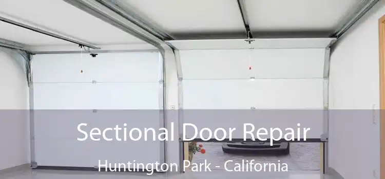 Sectional Door Repair Huntington Park - California