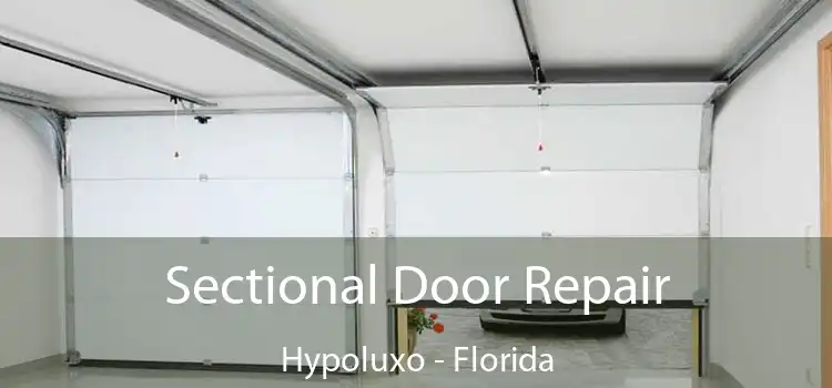 Sectional Door Repair Hypoluxo - Florida