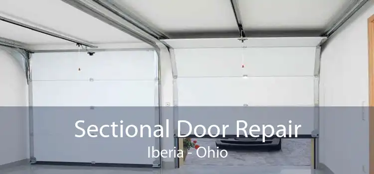 Sectional Door Repair Iberia - Ohio
