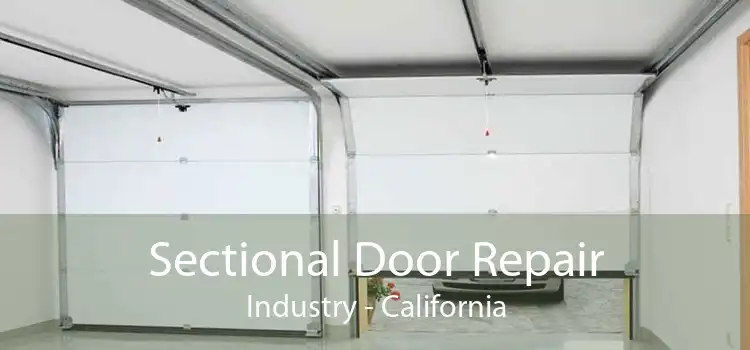 Sectional Door Repair Industry - California