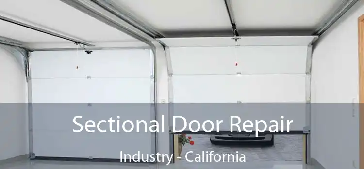 Sectional Door Repair Industry - California