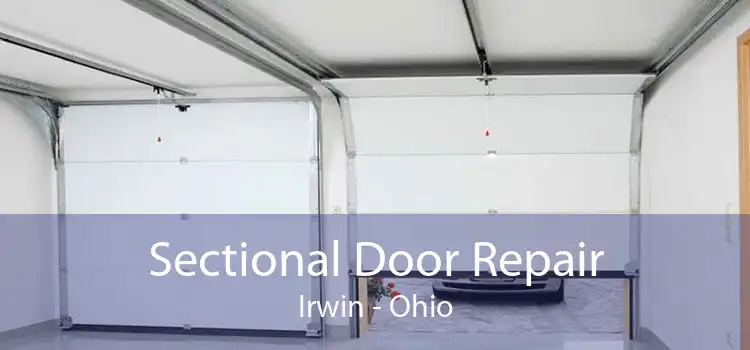 Sectional Door Repair Irwin - Ohio