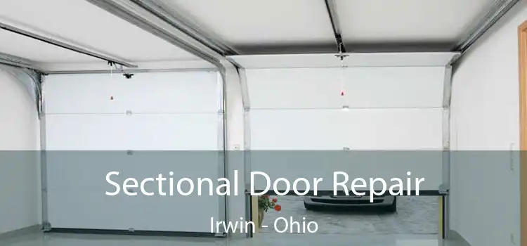 Sectional Door Repair Irwin - Ohio