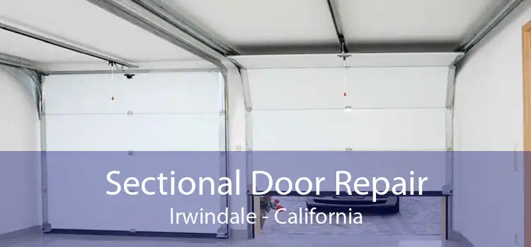 Sectional Door Repair Irwindale - California