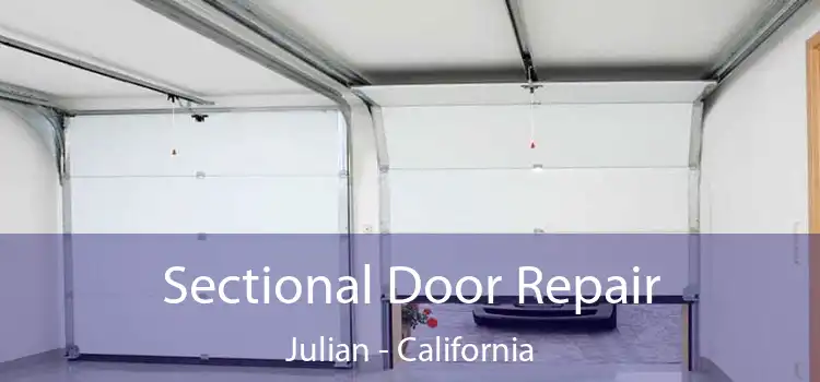 Sectional Door Repair Julian - California