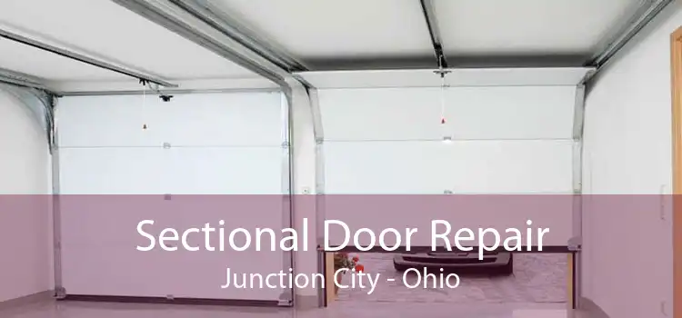 Sectional Door Repair Junction City - Ohio