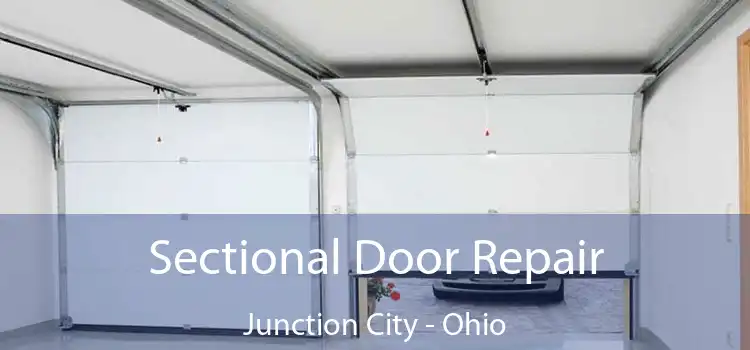 Sectional Door Repair Junction City - Ohio