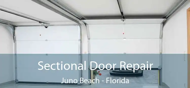 Sectional Door Repair Juno Beach - Florida