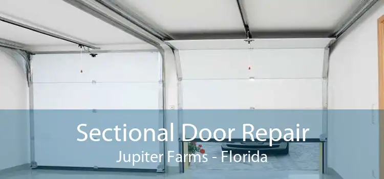 Sectional Door Repair Jupiter Farms - Florida