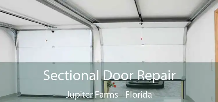 Sectional Door Repair Jupiter Farms - Florida