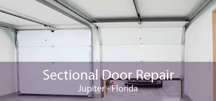 Sectional Door Repair Jupiter - Florida