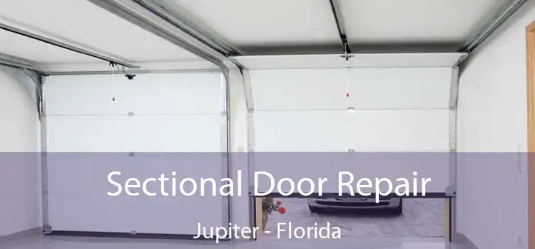 Sectional Door Repair Jupiter - Florida