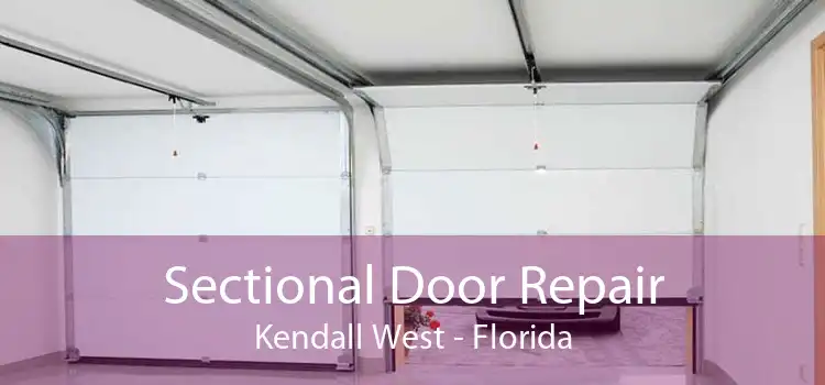 Sectional Door Repair Kendall West - Florida