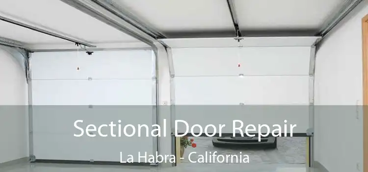 Sectional Door Repair La Habra - California