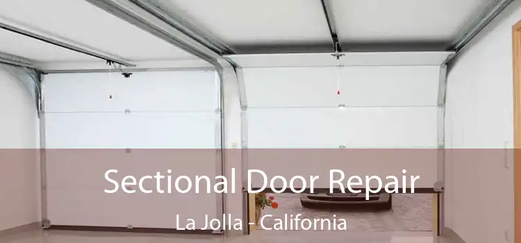 Sectional Door Repair La Jolla - California