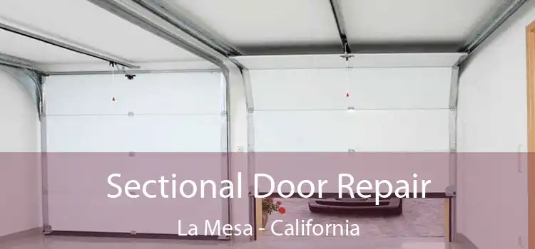 Sectional Door Repair La Mesa - California