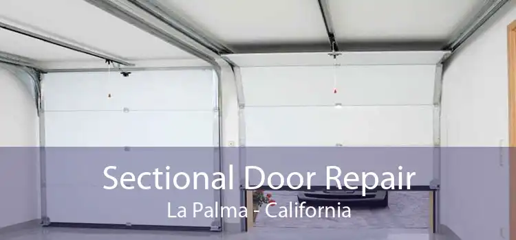 Sectional Door Repair La Palma - California