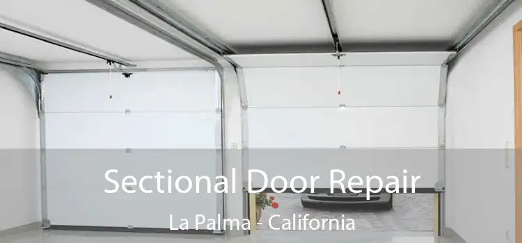 Sectional Door Repair La Palma - California