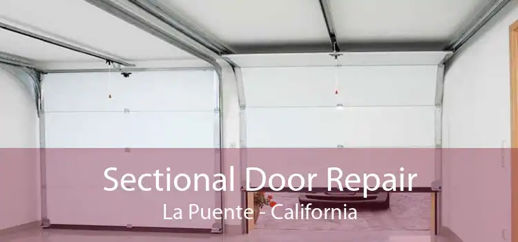 Sectional Door Repair La Puente - California