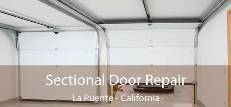 Sectional Door Repair La Puente - California