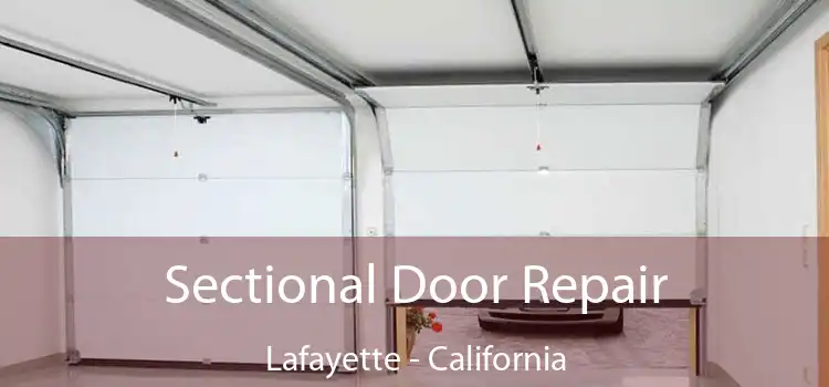 Sectional Door Repair Lafayette - California