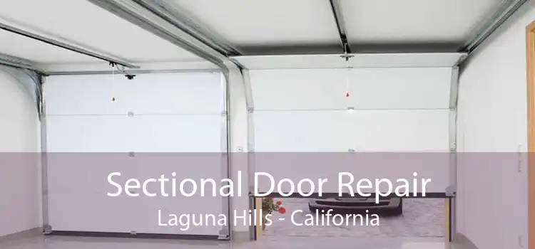 Sectional Door Repair Laguna Hills - California