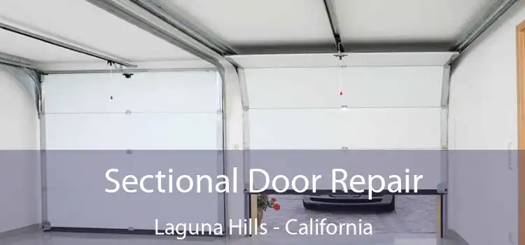 Sectional Door Repair Laguna Hills - California