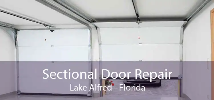 Sectional Door Repair Lake Alfred - Florida