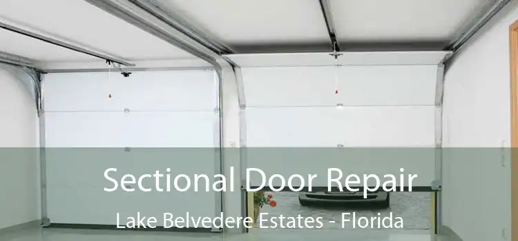 Sectional Door Repair Lake Belvedere Estates - Florida