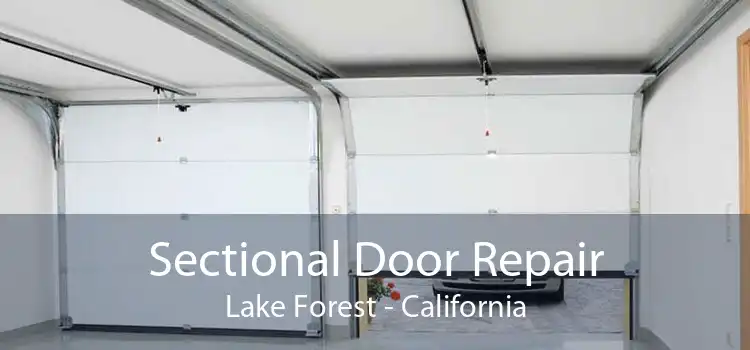 Sectional Door Repair Lake Forest - California