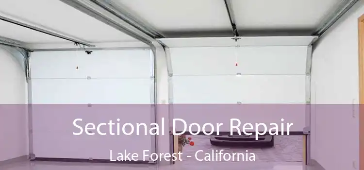 Sectional Door Repair Lake Forest - California