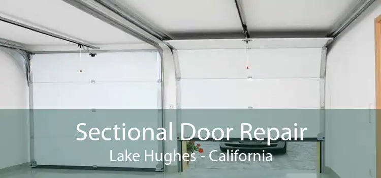 Sectional Door Repair Lake Hughes - California