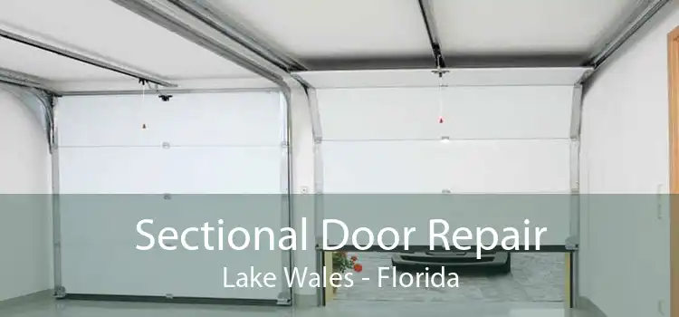 Sectional Door Repair Lake Wales - Florida
